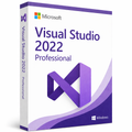 Microsoft Visual Studio 2022 Professional